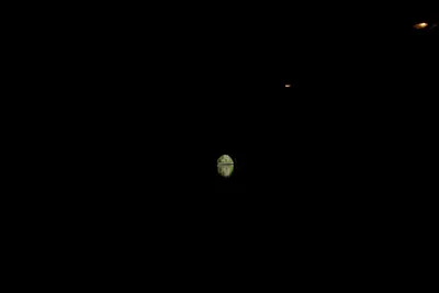 DSC_2747 (Large).JPG